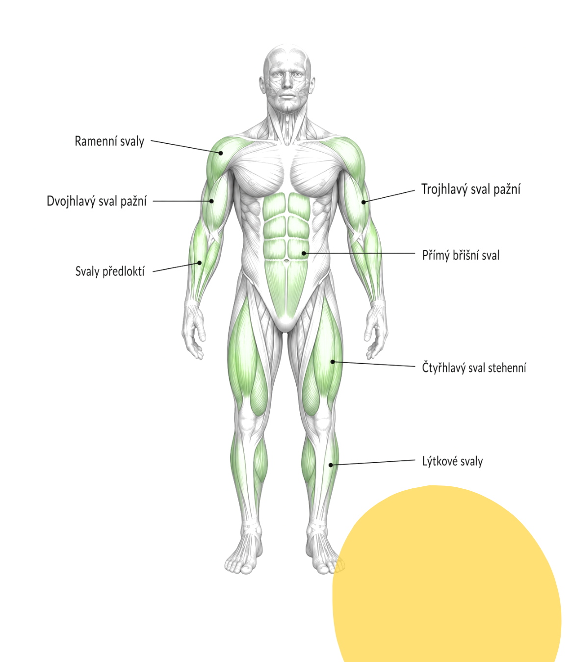 Double Bike — detail