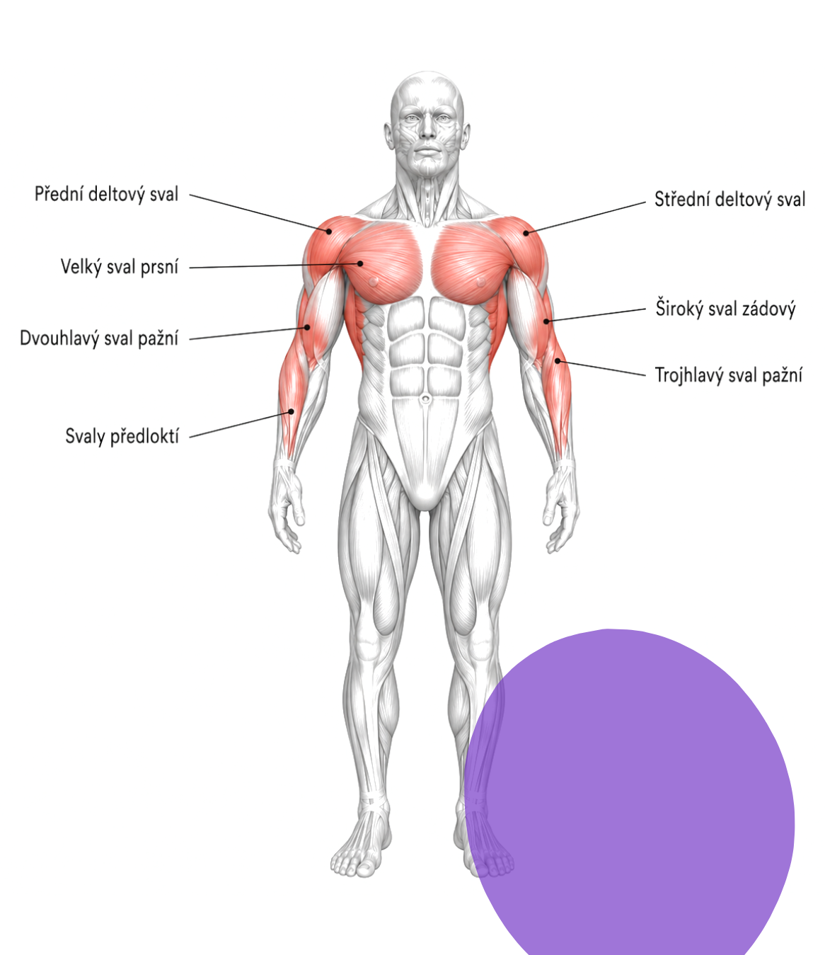 Push / Pull — detail